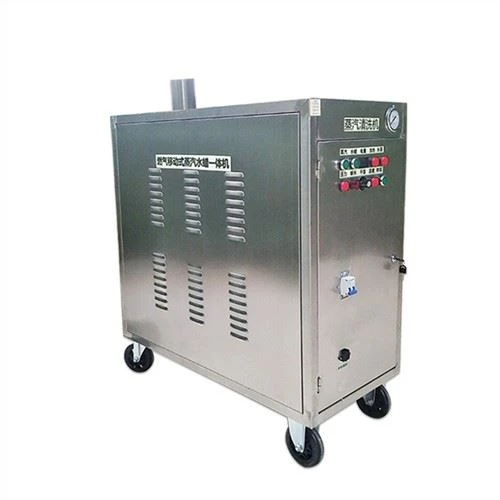 Commercial Steam Extractor