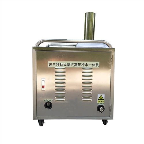 Mobile Steam Car Washer